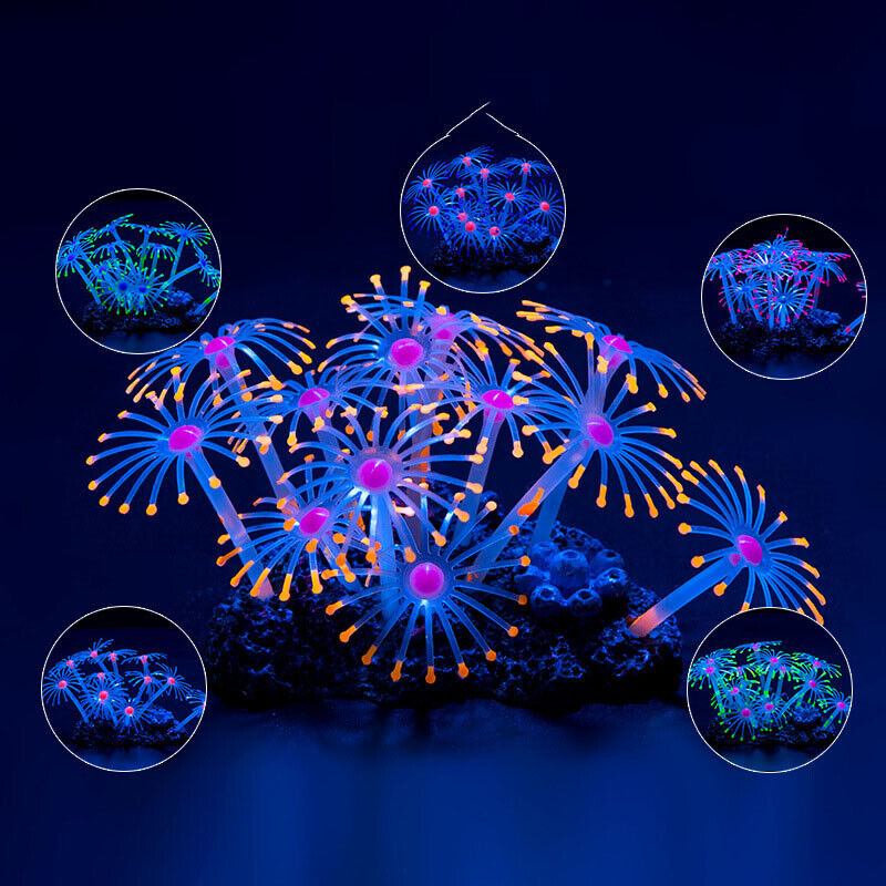 Silikon Bercahaya untuk Lanska - Live Plant Aquarium ulasan dan harga