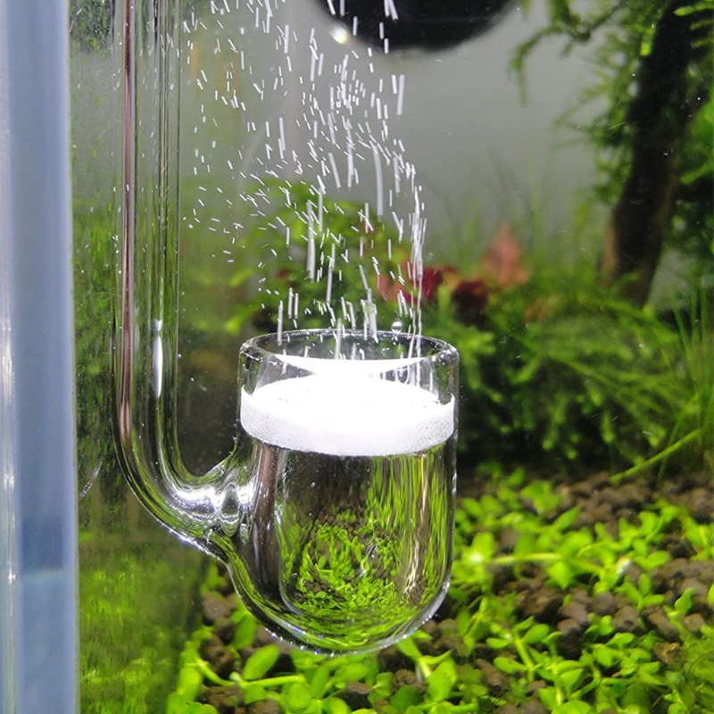 D0AD Kaca CO2 Diffuser untuk A - Aquarium Liquid Carbon ulasan dan harga