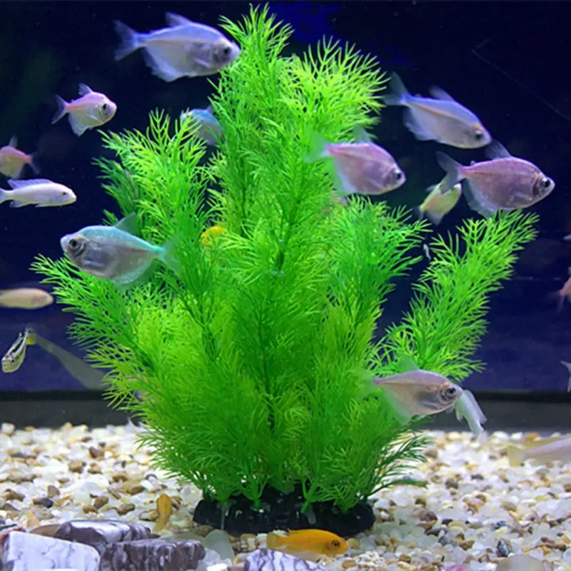Tanaman Dekorasi Akuarium Buat - Aquarium Plant Substrate ulasan dan harga