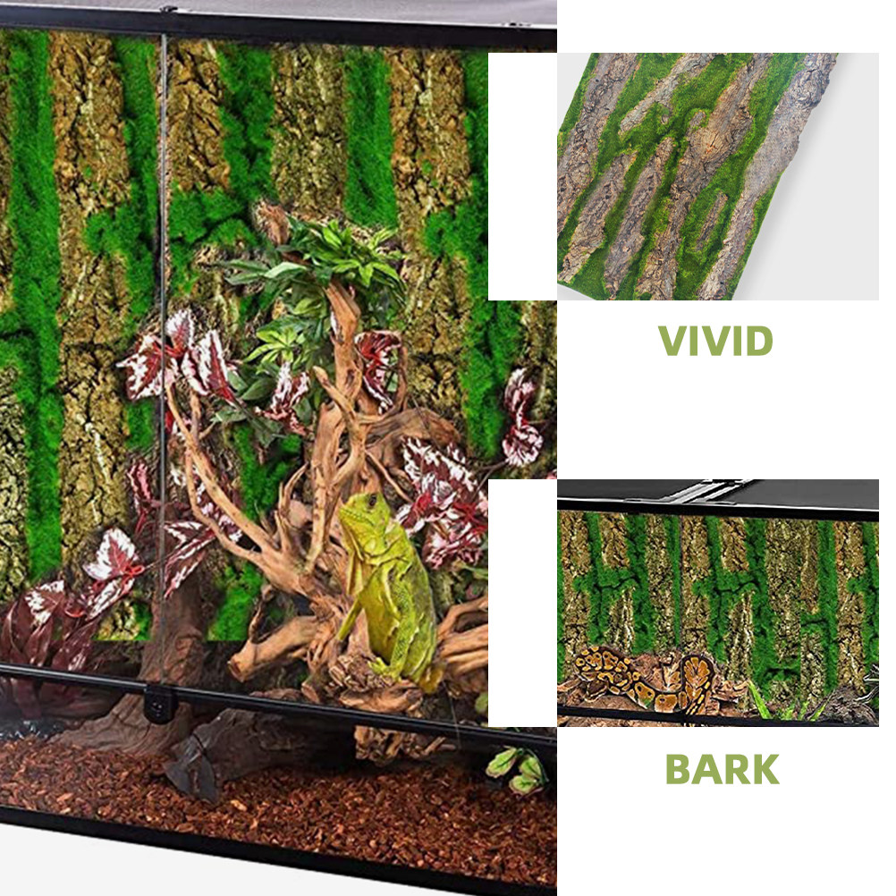 Papan Latar Belakang Akuarium  - Aquarium Moss ulasan dan harga