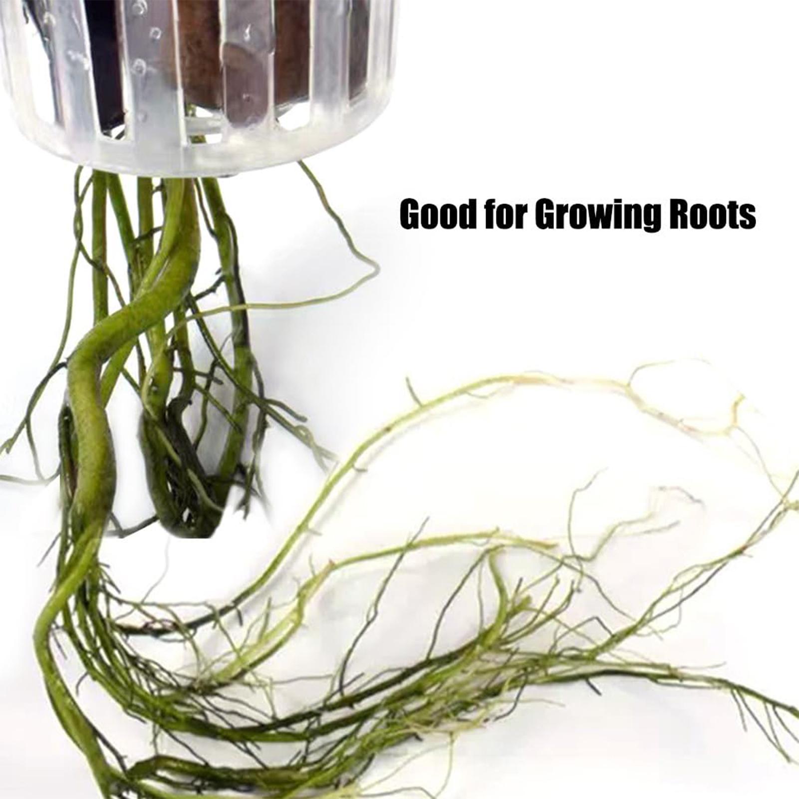 2 buah wadah tanaman akuatik y - Aquarium Plant Holder ulasan dan harga