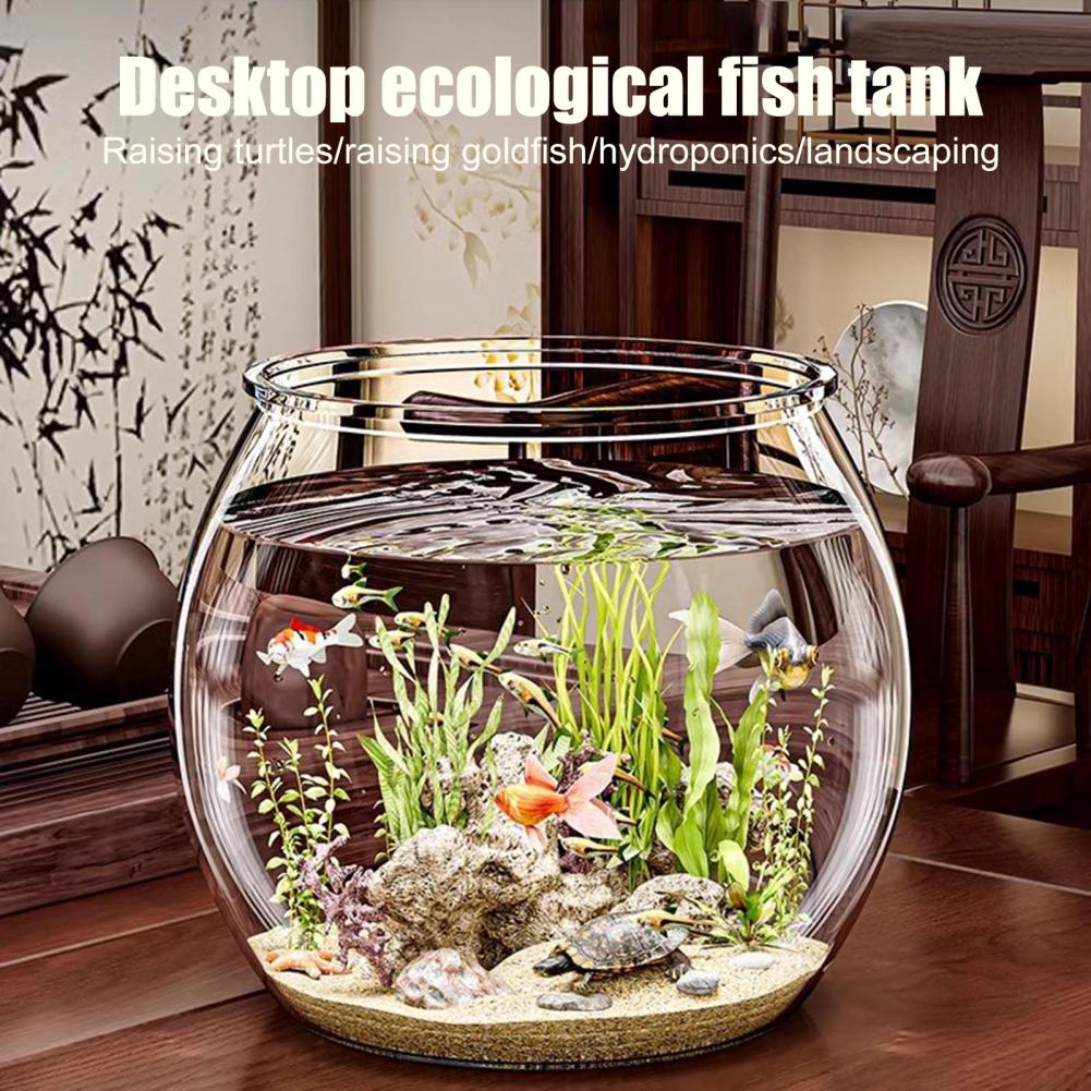 Plastik Bening Bulat Mangkuk I - Plant Aquarium Pot ulasan dan harga