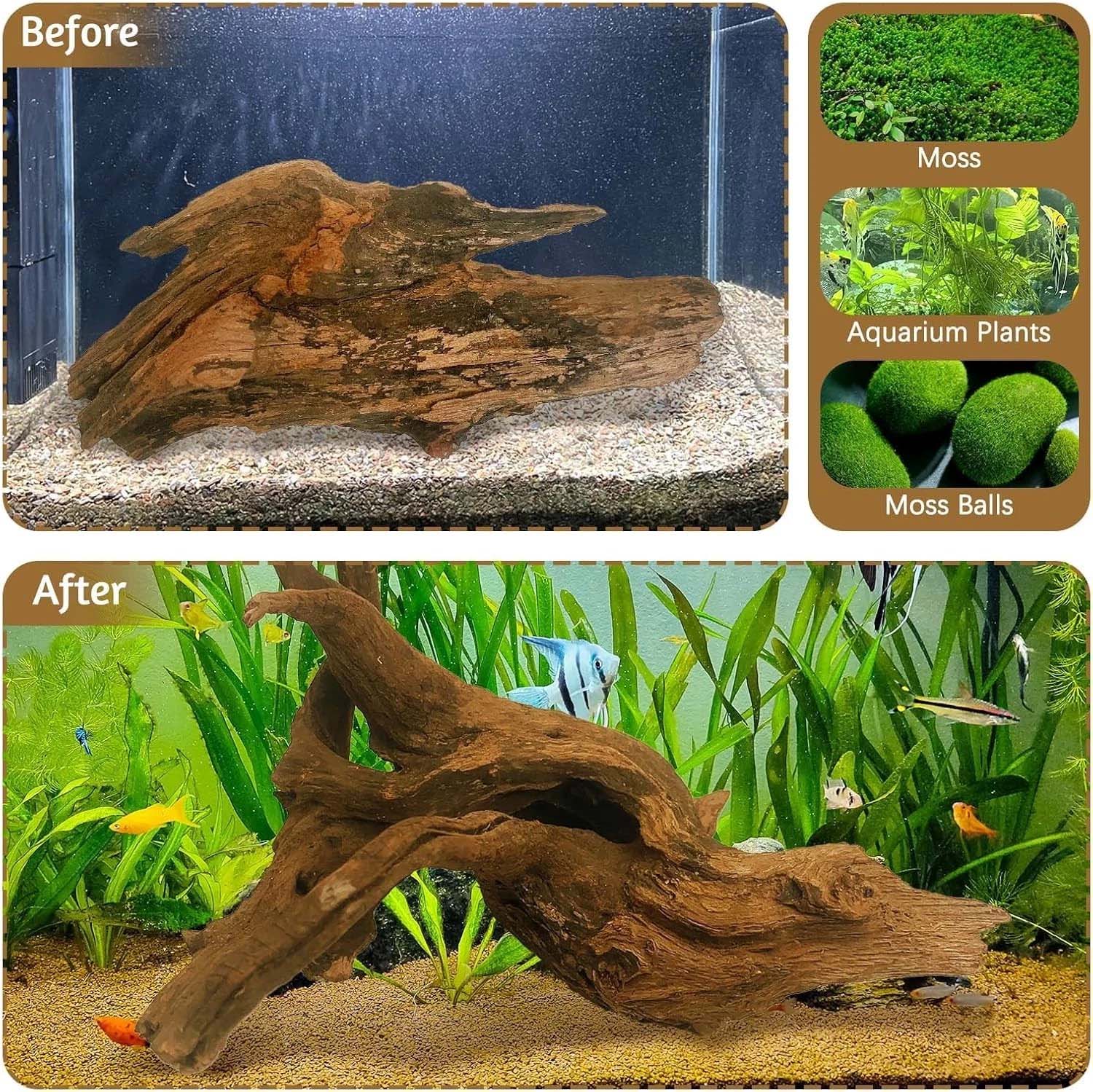 15-20CM 1Pc Dekorasi Terumbu K - Aquarium Driftwood ulasan dan harga
