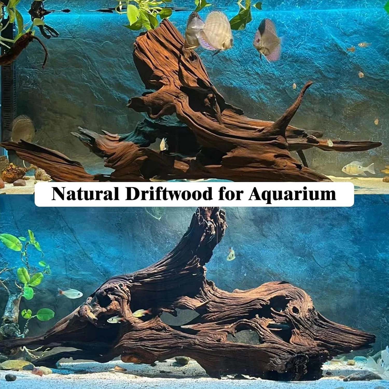 15-20CM 1Pc Dekorasi Terumbu K - Aquarium Driftwood ulasan dan harga