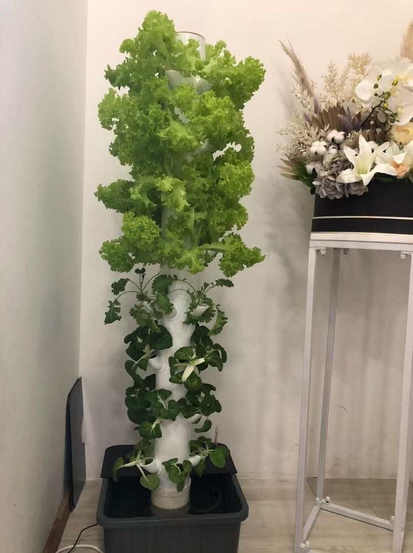Menara Hidroponik Vertikal Aer - Planted Tank ulasan dan harga