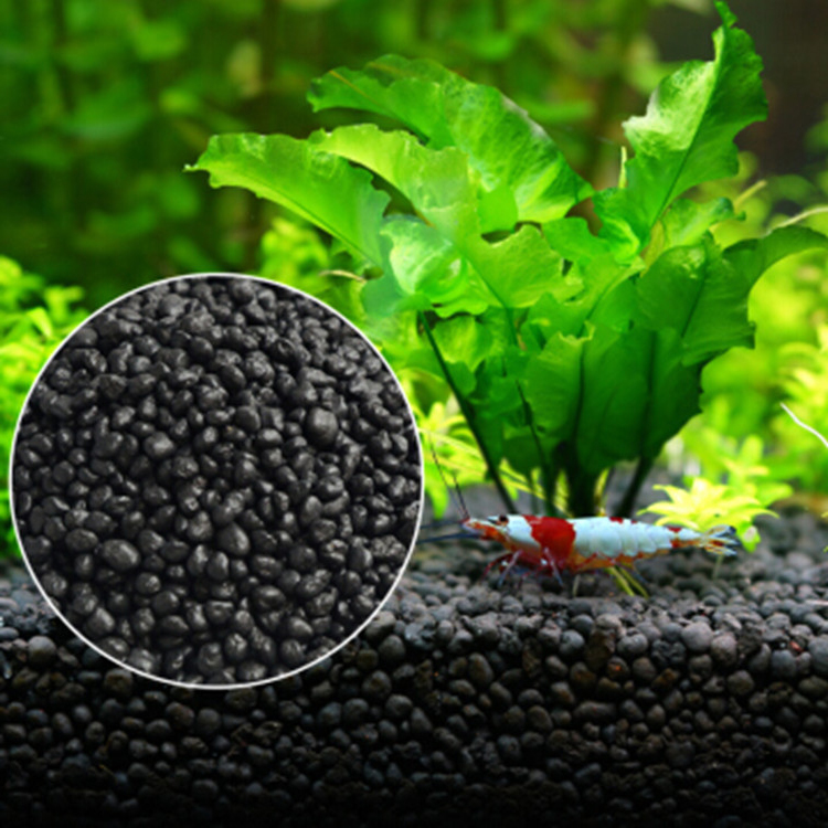 Bibit Tanaman Akuarium Tanah T - Aquarium Fertilizer ulasan dan harga