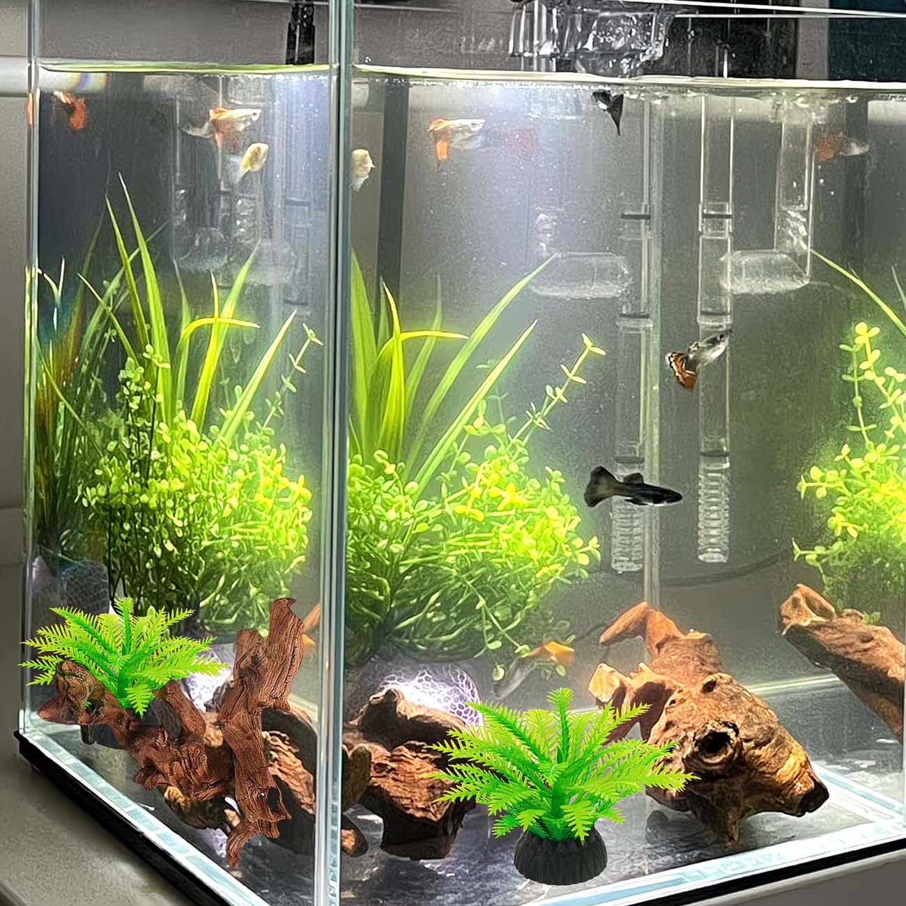 Kayu Apung Alami 5-10CM untuk  - Aquarium Driftwood ulasan dan harga