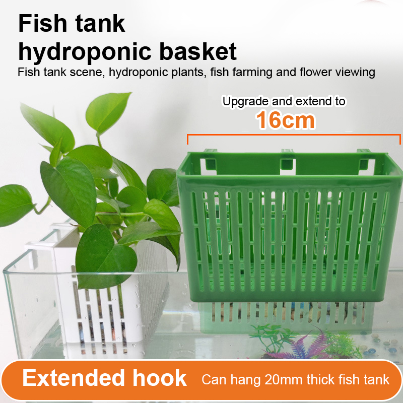 【F】Wadah Tanaman Gantung untuk - Aquarium Plant Holder ulasan dan harga
