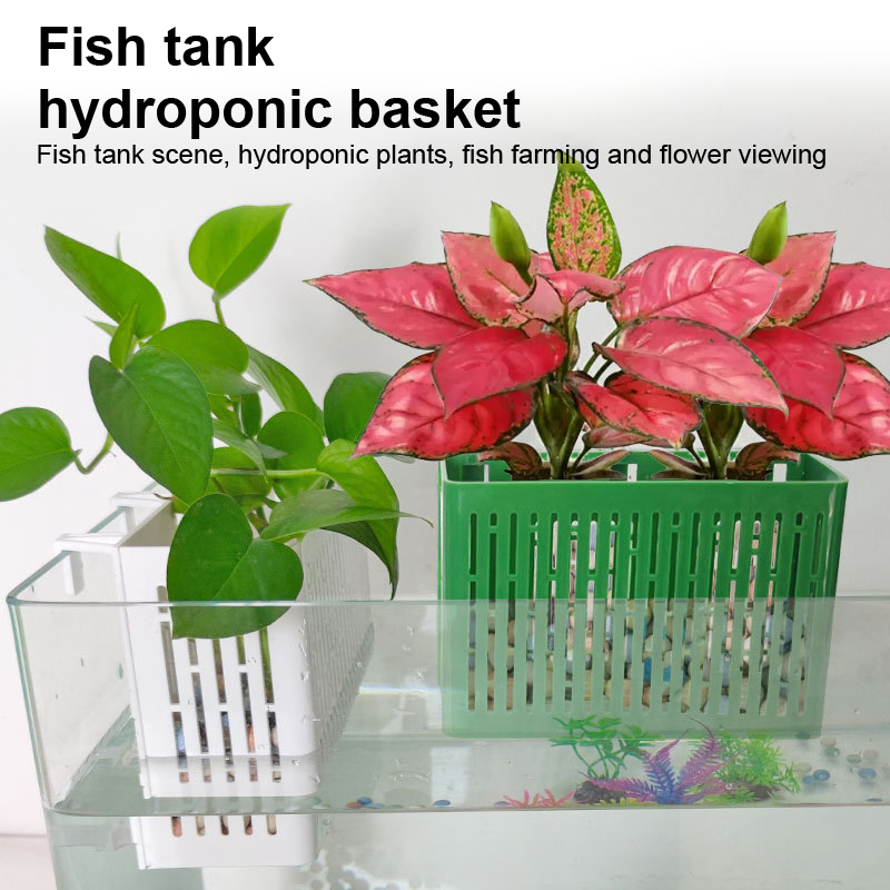【F】Wadah Tanaman Gantung untuk - Aquarium Plant Holder ulasan dan harga